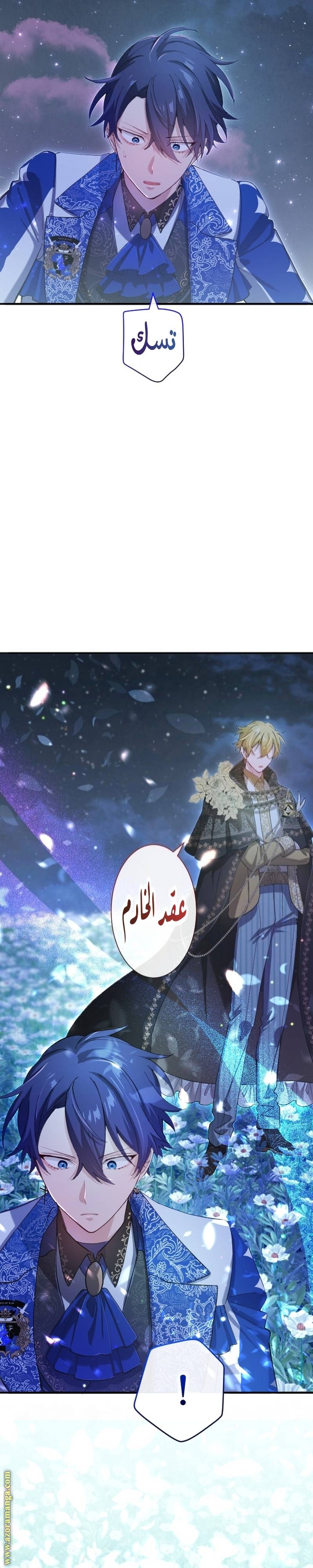 الصفحة 12