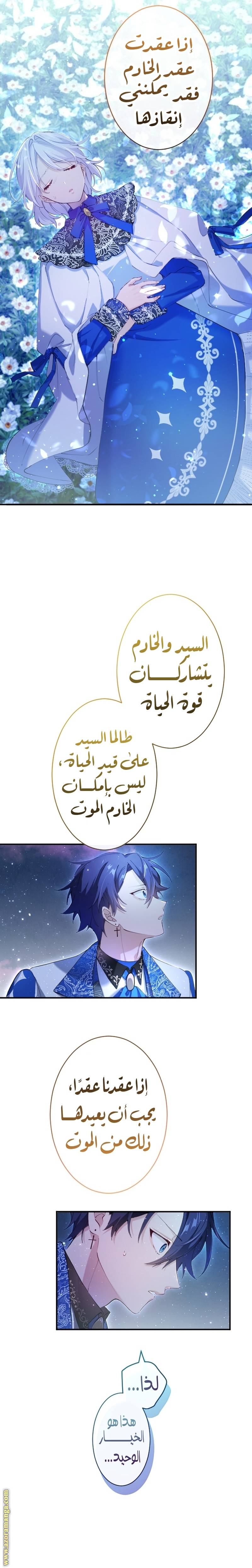 الصفحة 13