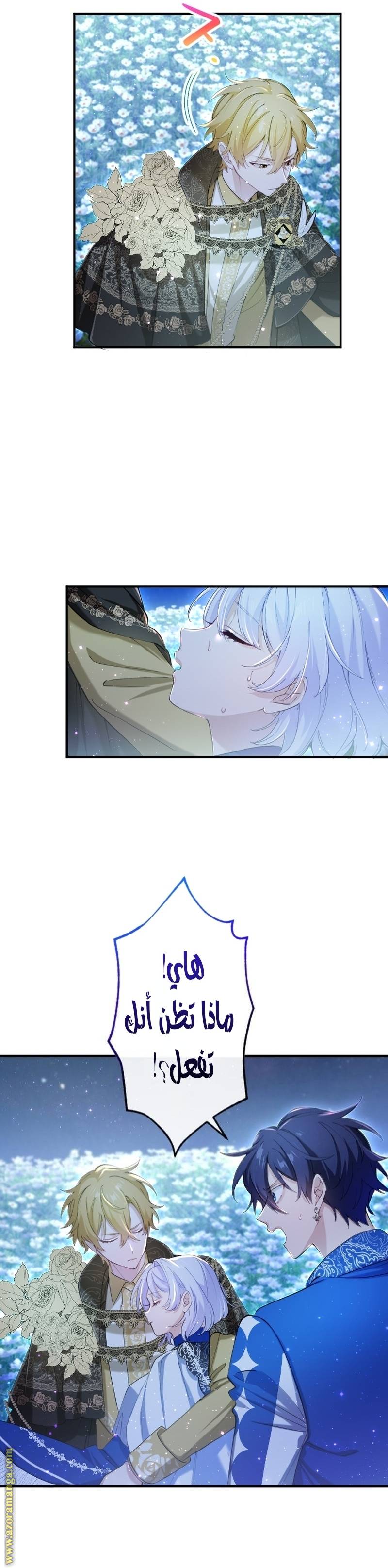 الصفحة 14