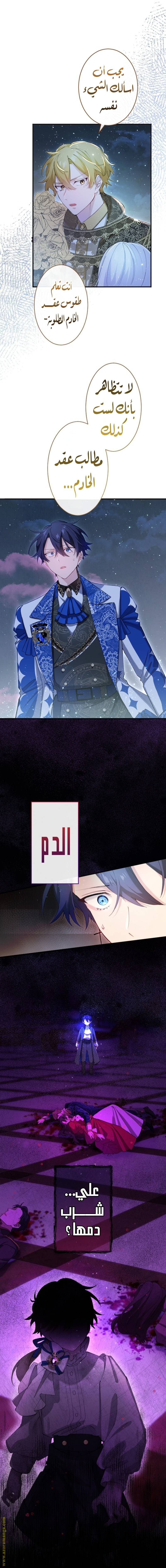 الصفحة 15