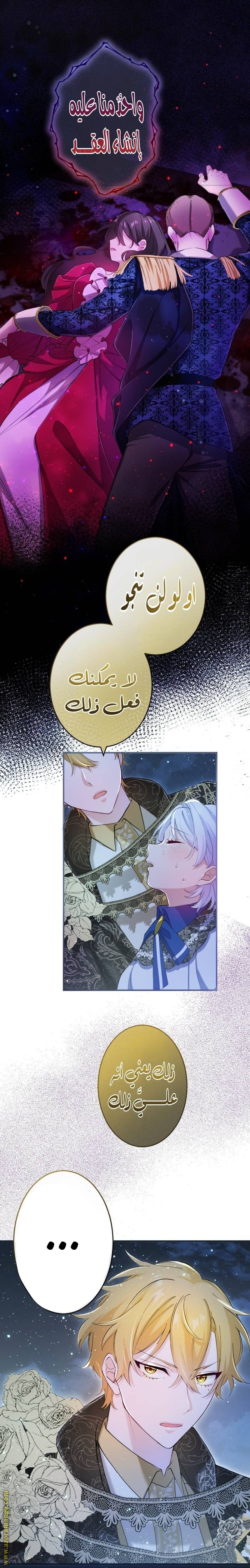 الصفحة 17