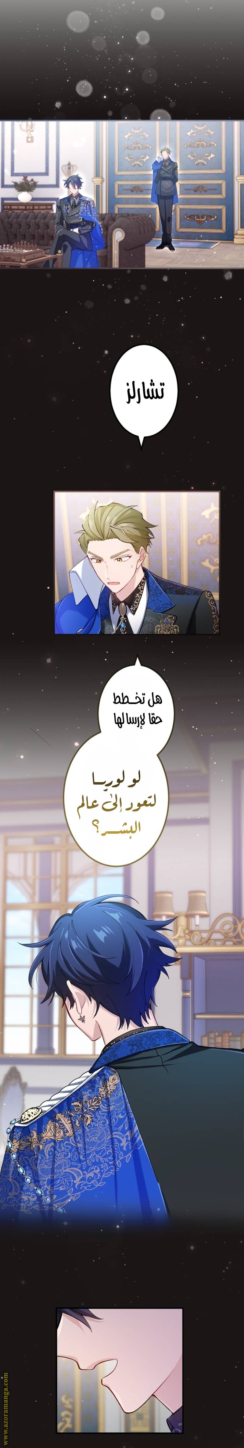 الصفحة 19