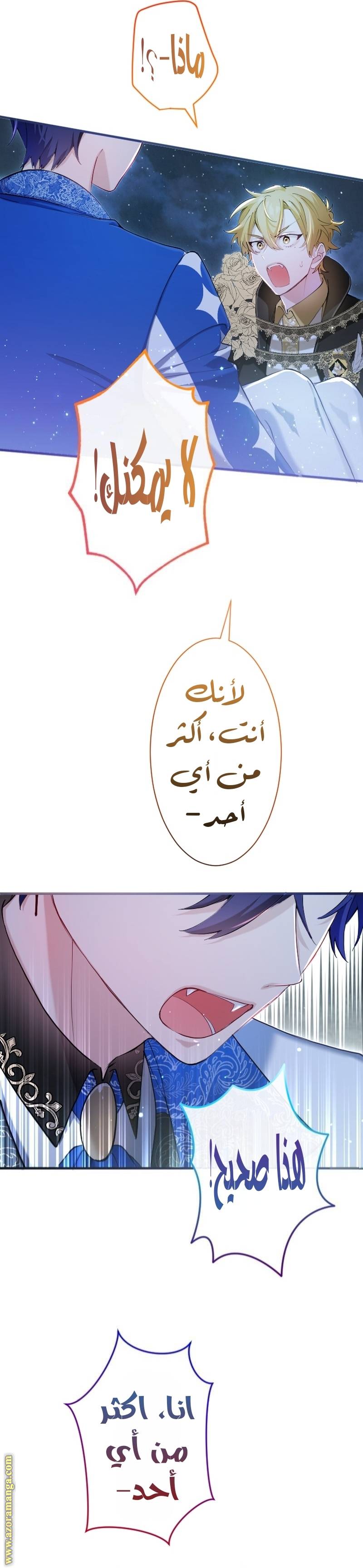 الصفحة 22