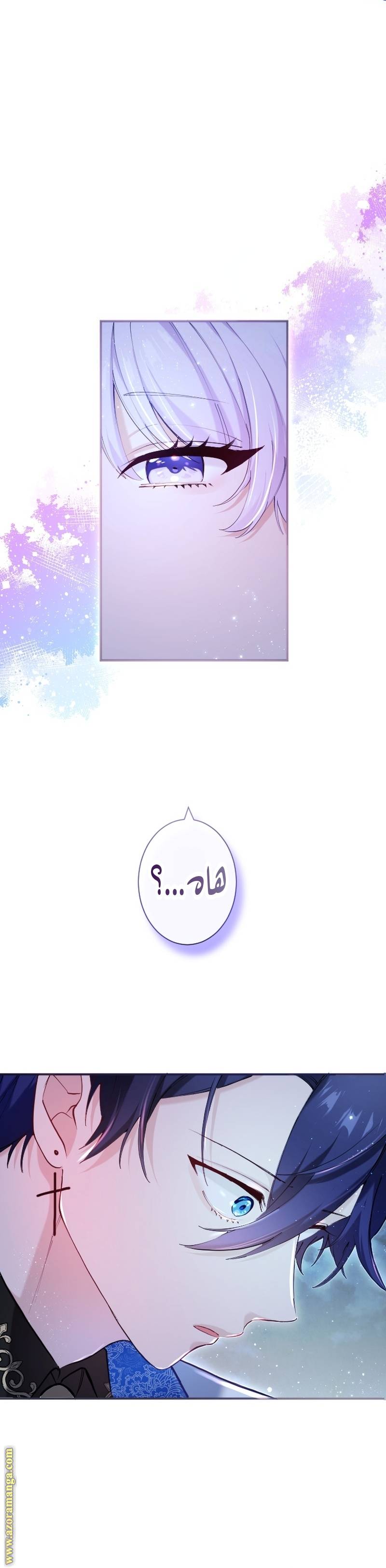 الصفحة 25