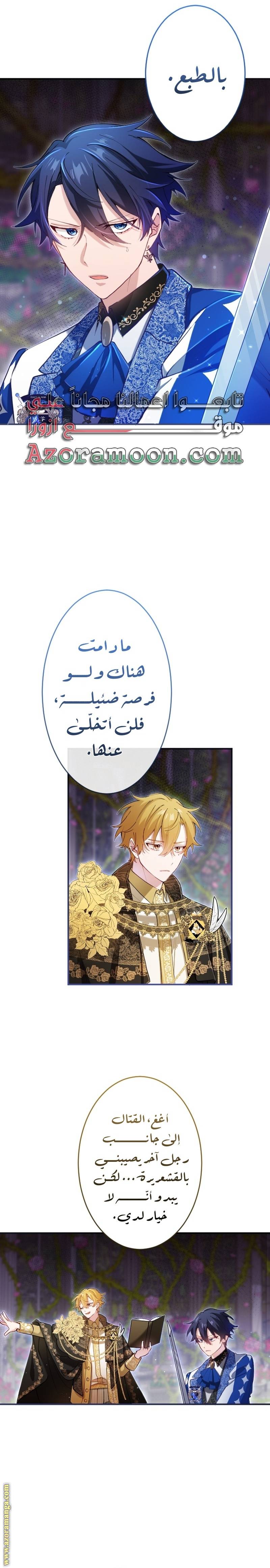 الصفحة 3