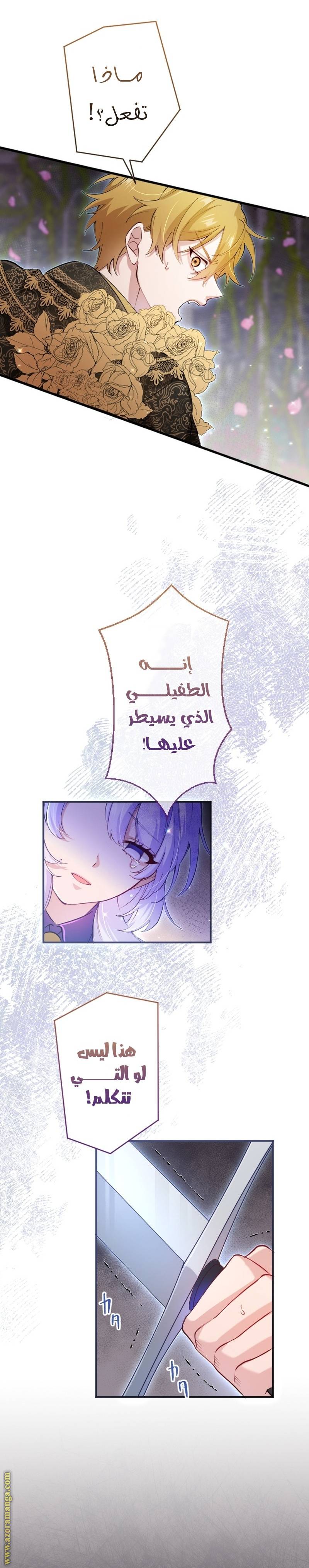 الصفحة 12