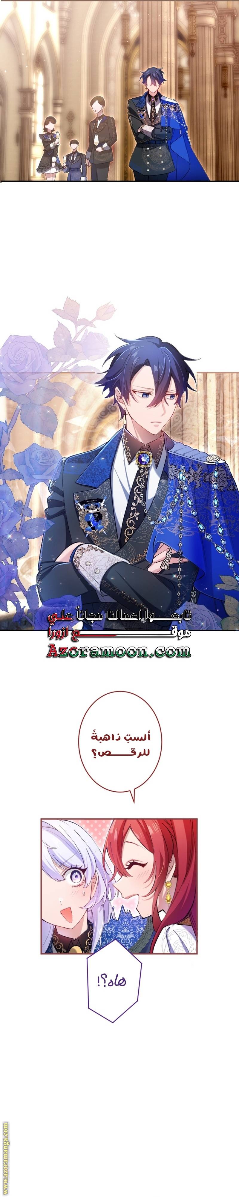الصفحة 17
