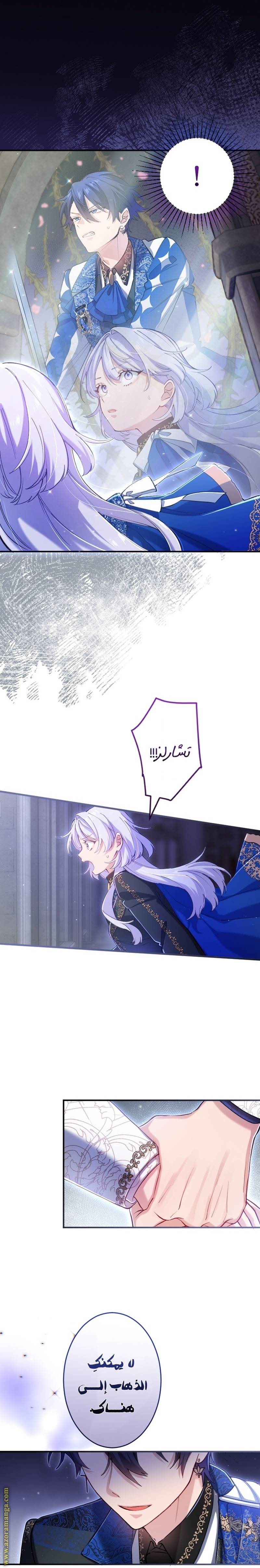 الصفحة 24