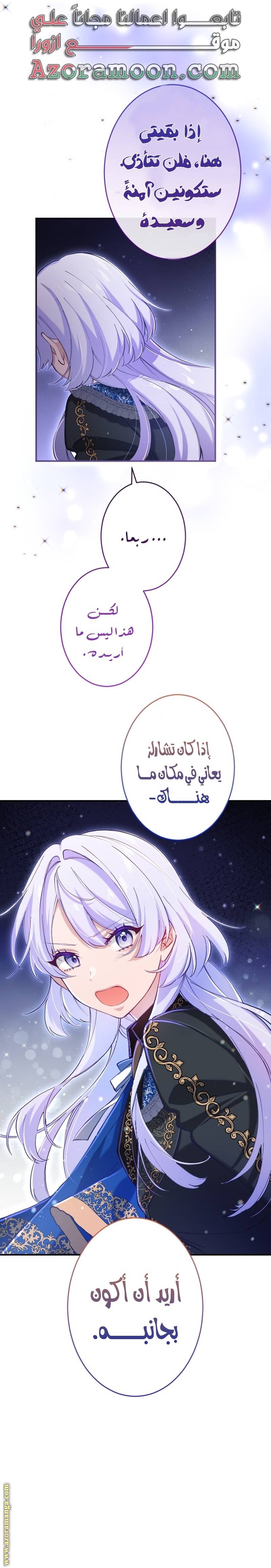 الصفحة 25