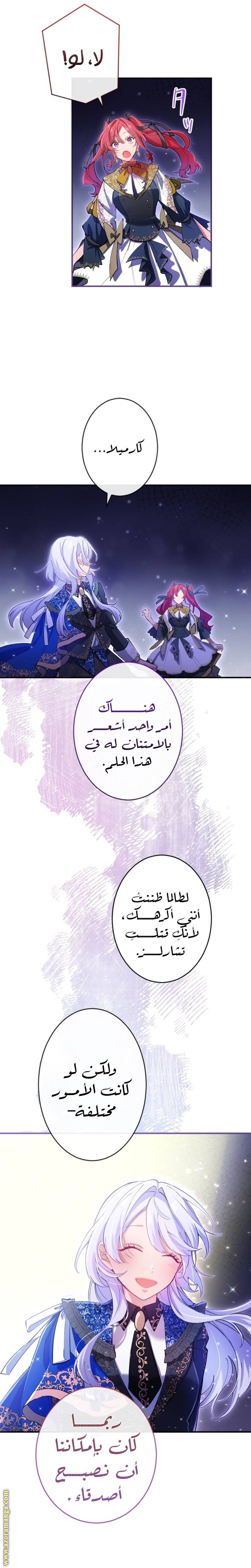 الصفحة 26