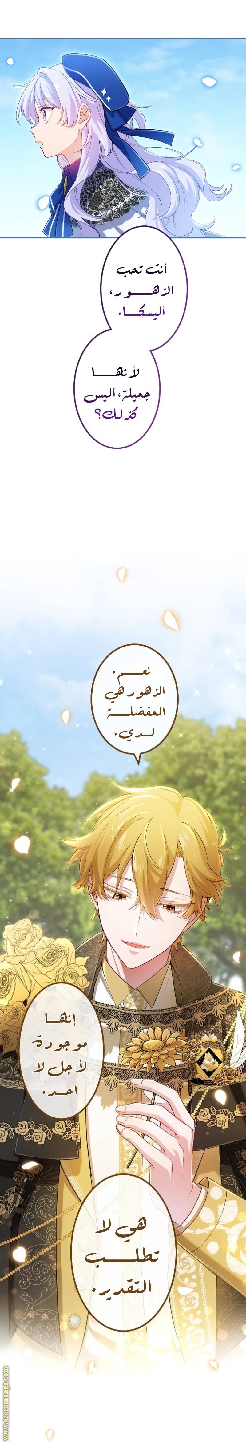الصفحة 11