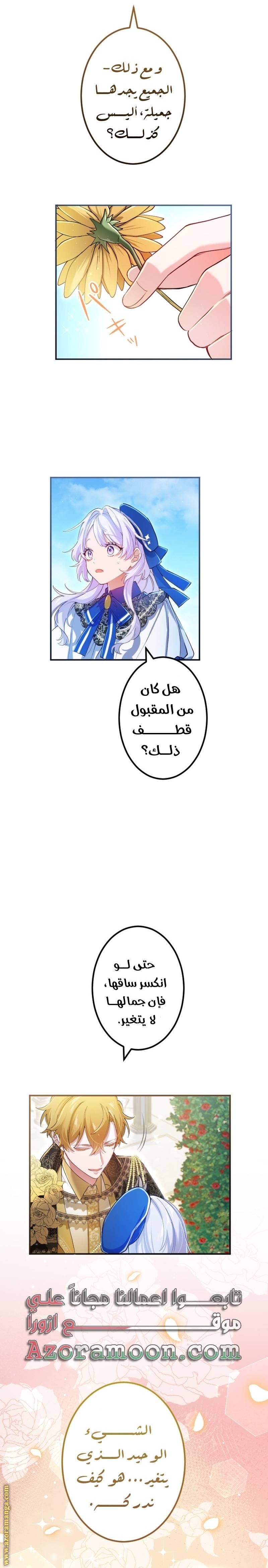 الصفحة 12
