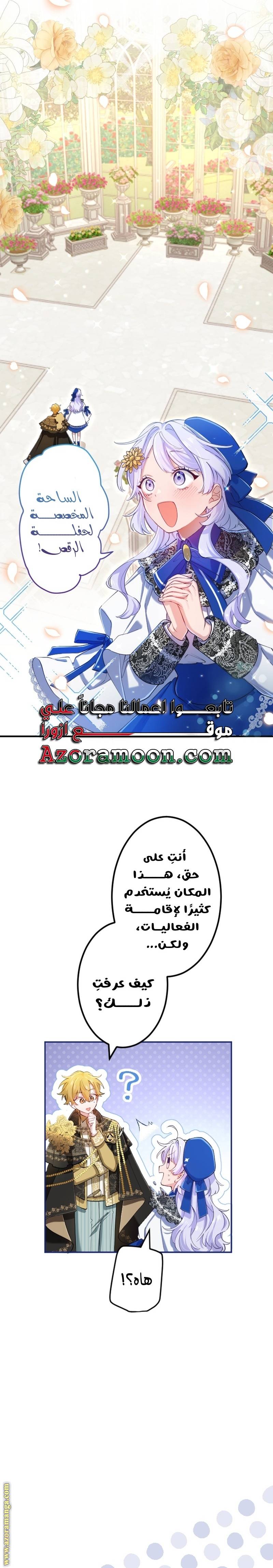 الصفحة 17