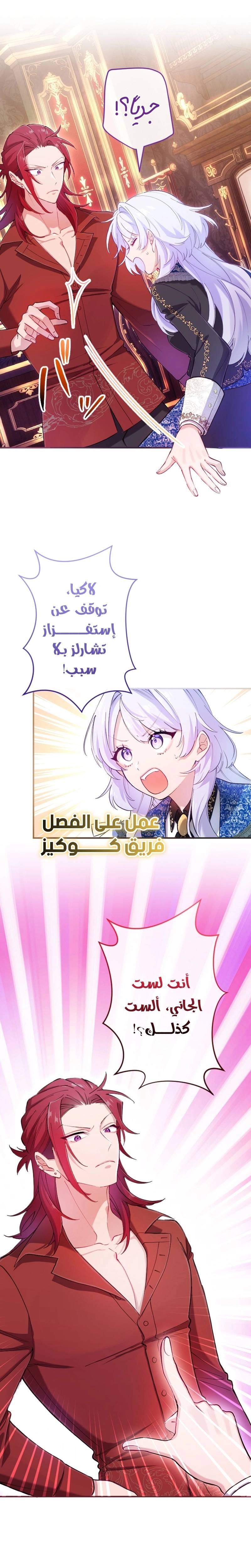 الصفحة 17