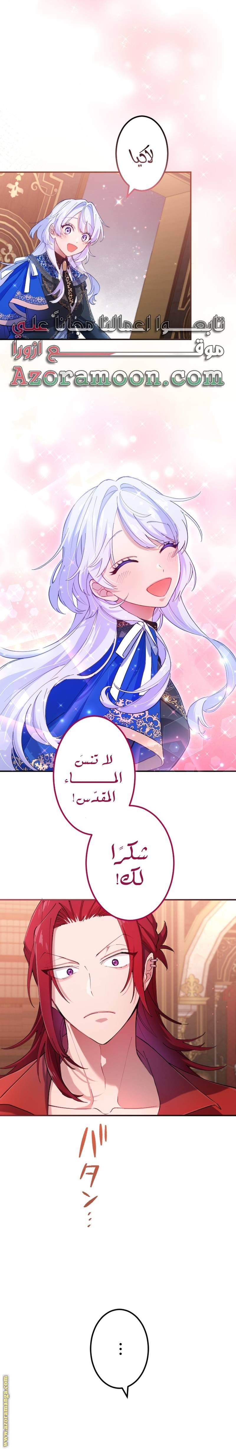 الصفحة 26