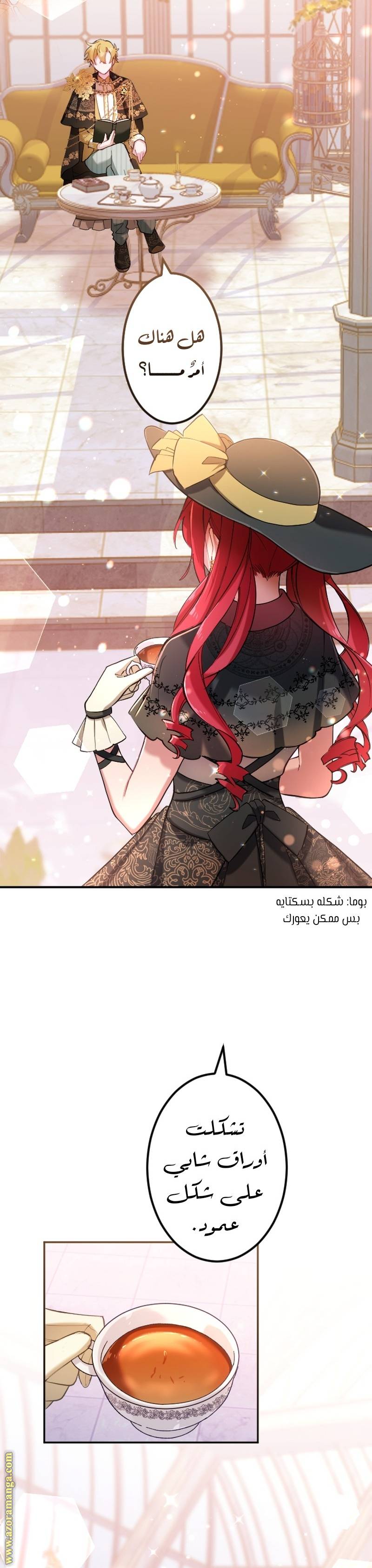 الصفحة 29