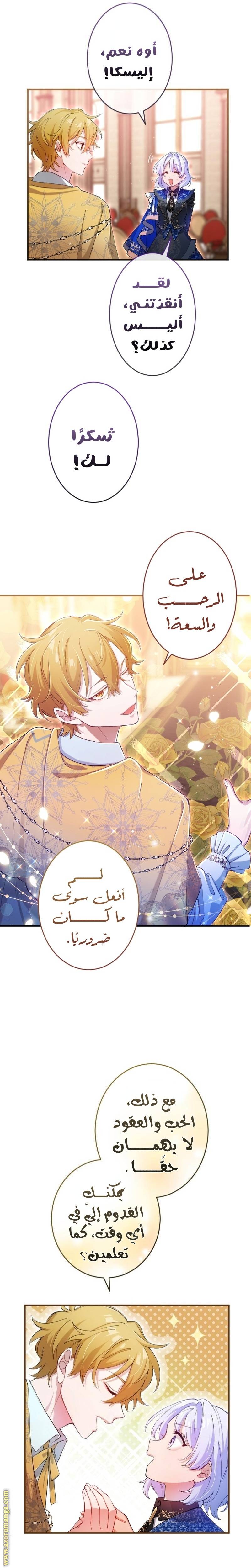 الصفحة 13