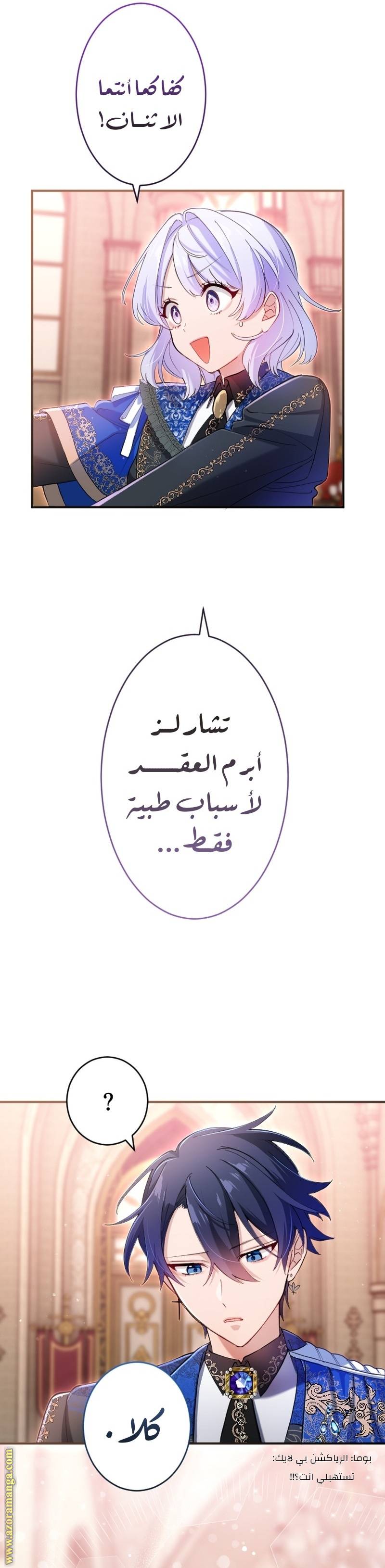 الصفحة 16