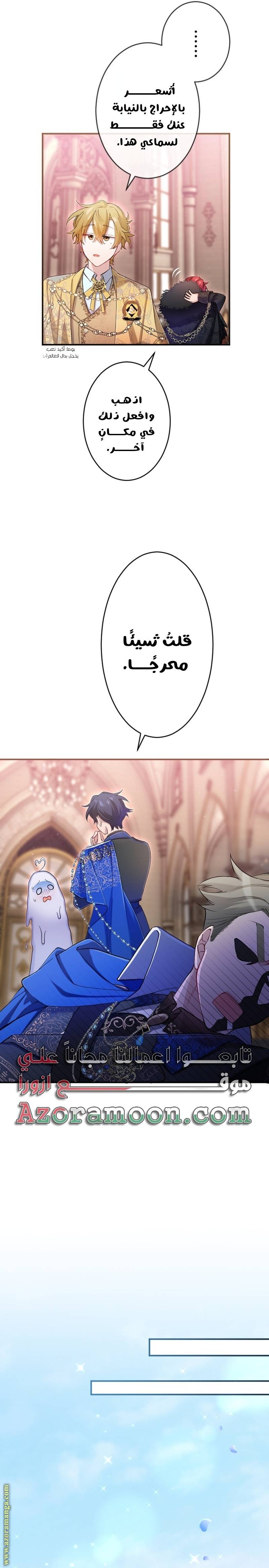 الصفحة 19