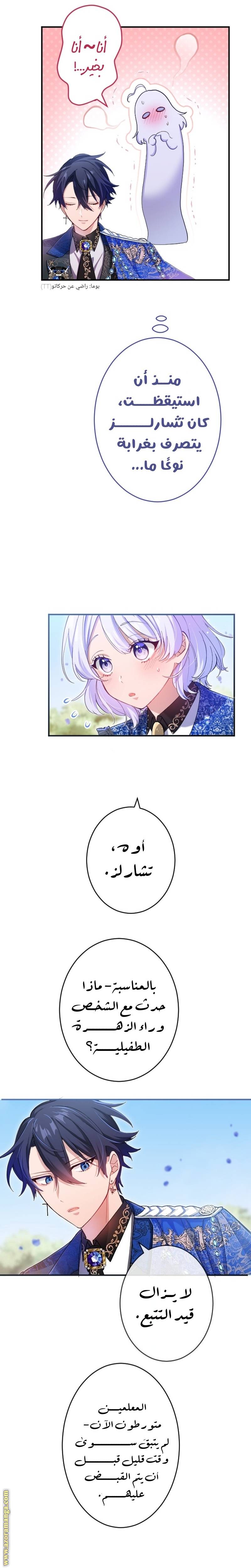 الصفحة 21