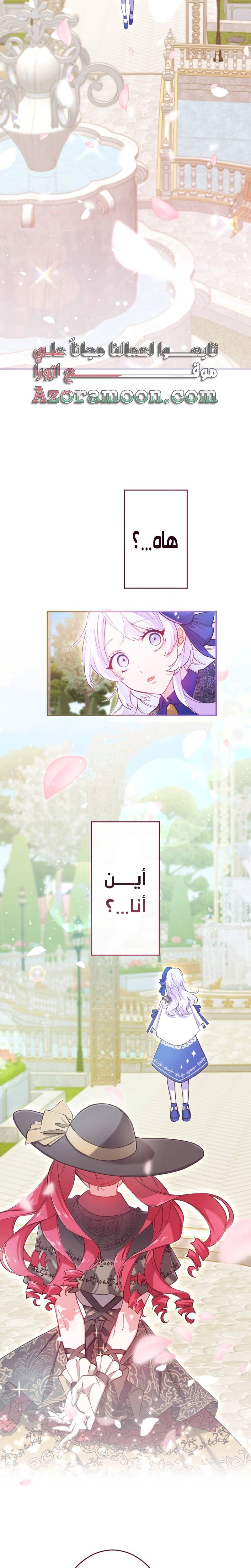 الصفحة 11