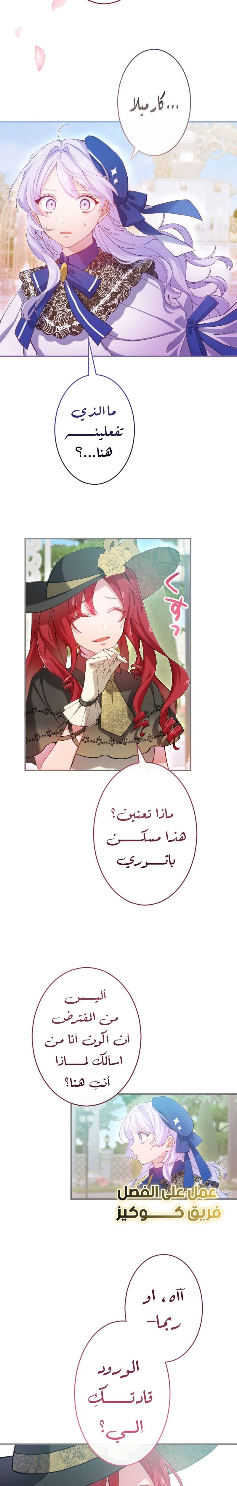 الصفحة 13