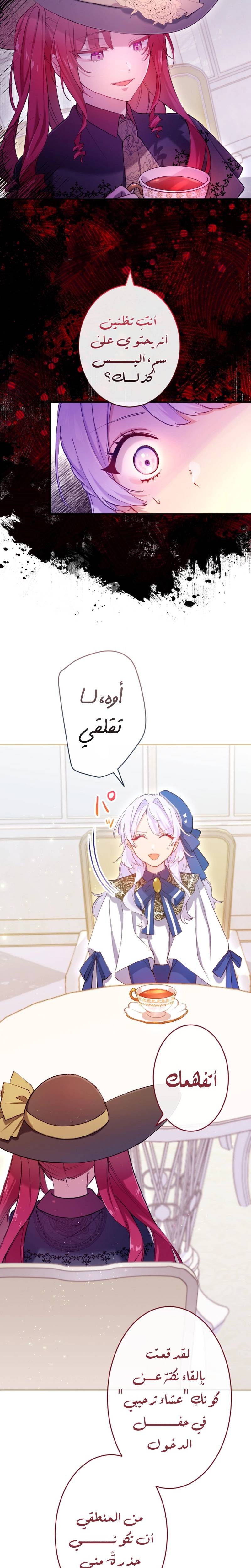 الصفحة 17