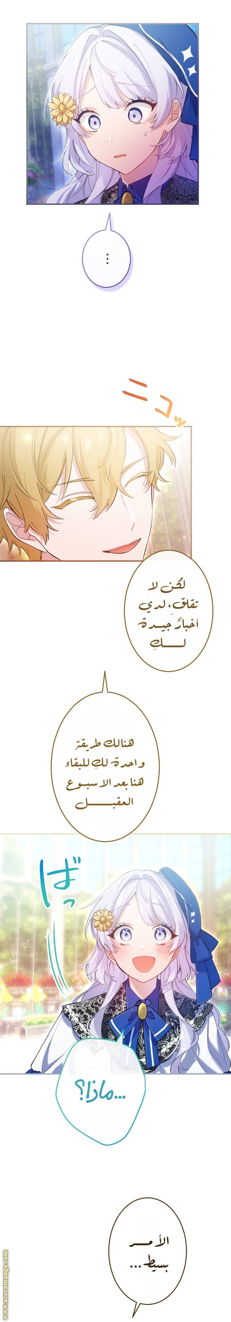 الصفحة 3