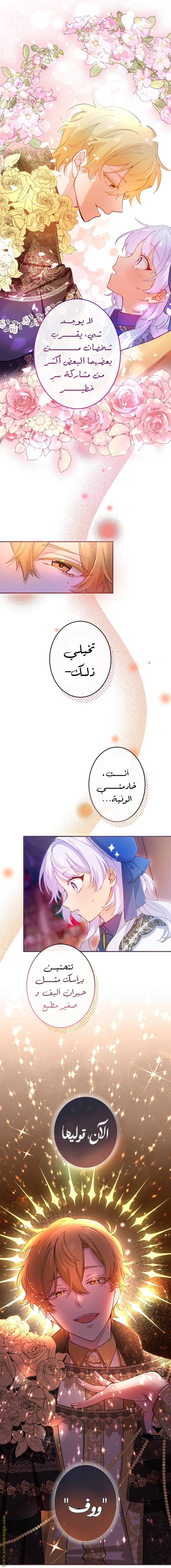الصفحة 13