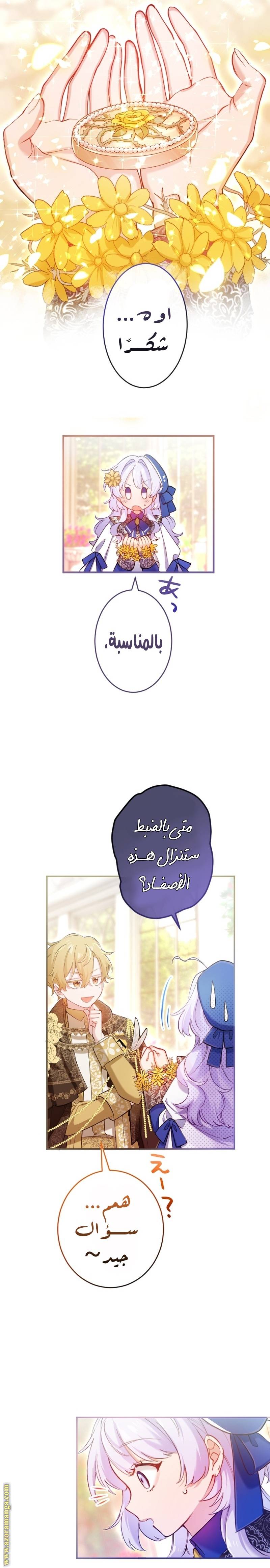الصفحة 17