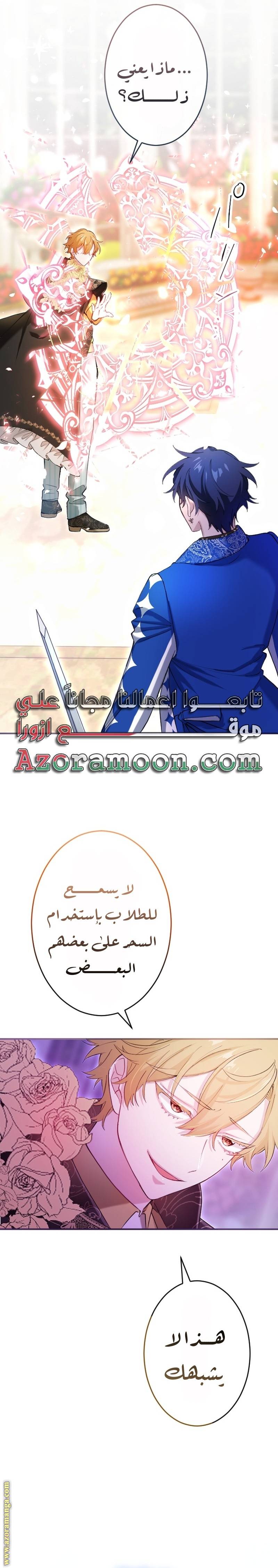 الصفحة 20