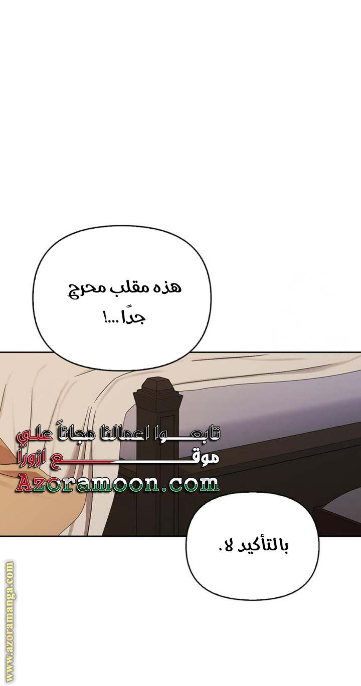 الصفحة 27