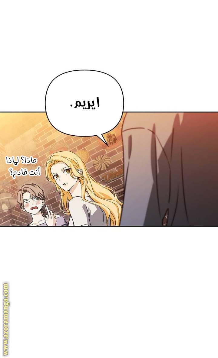 الصفحة 46