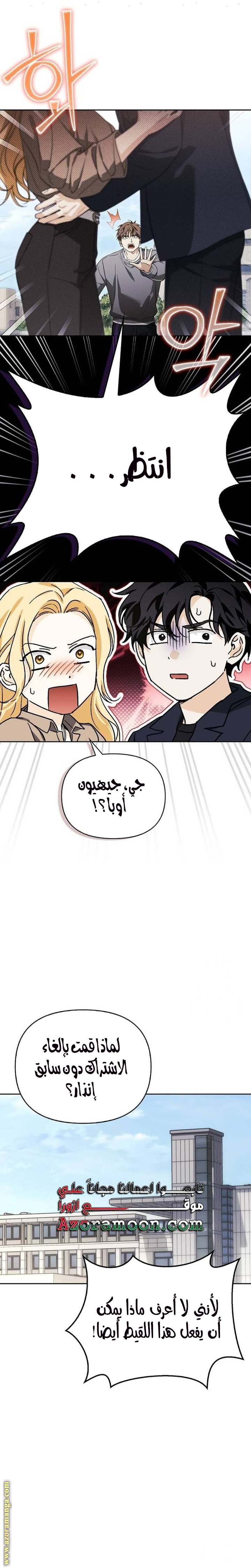 الصفحة 21