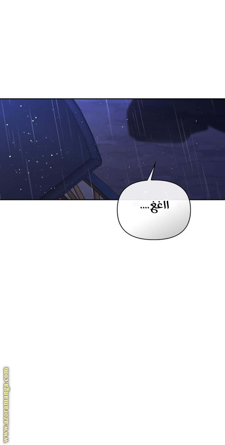 الصفحة 27