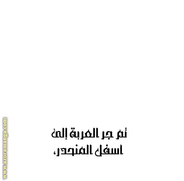 الصفحة 41