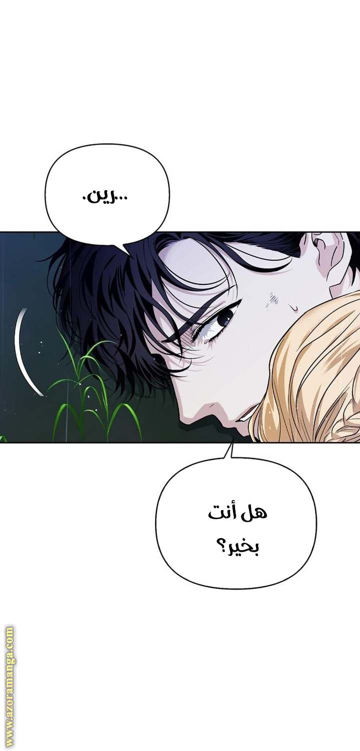 الصفحة 48