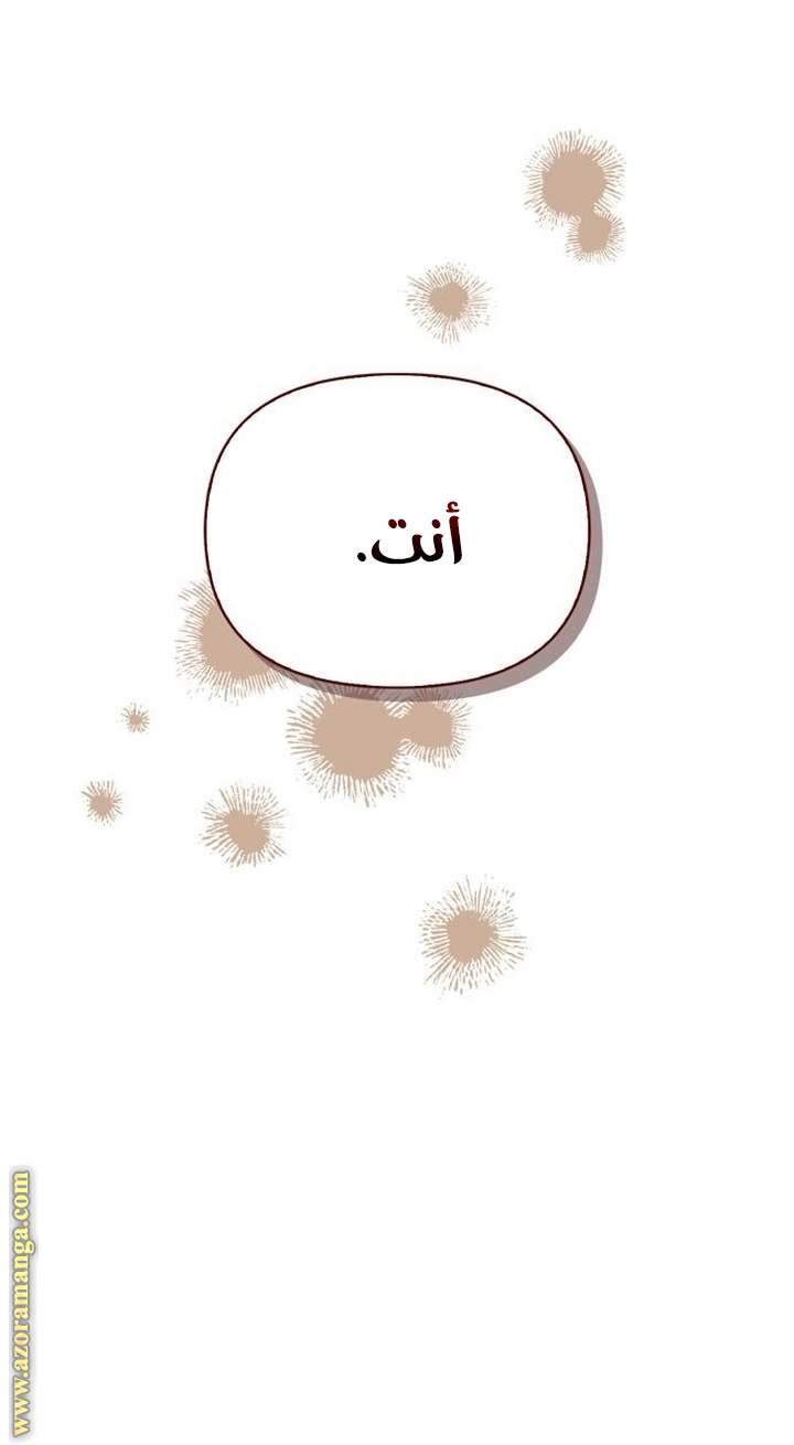 الصفحة 71