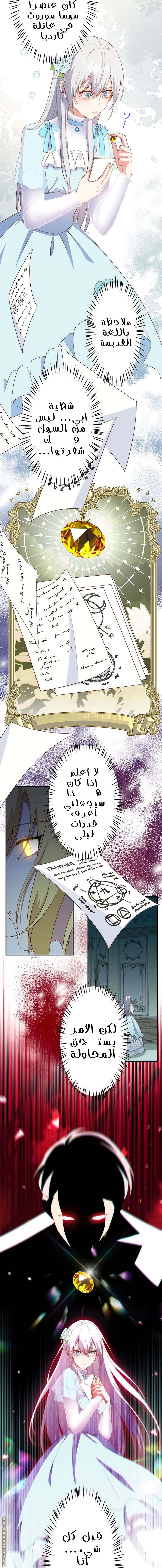 الصفحة 13