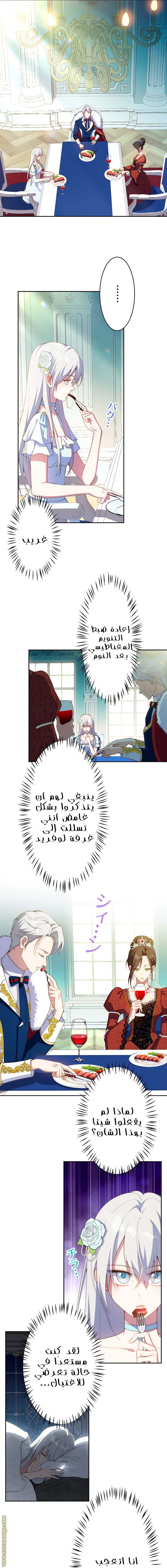 الصفحة 5