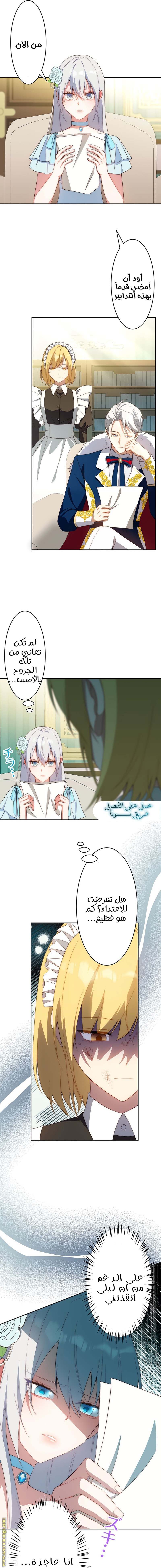 الصفحة 11