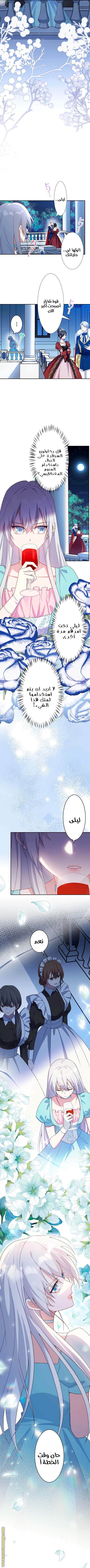 الصفحة 10