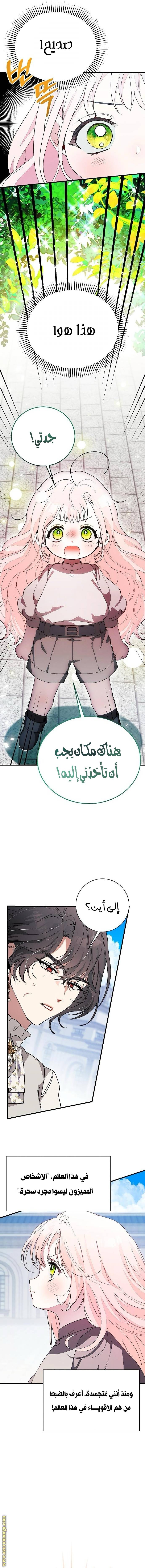 الصفحة 15