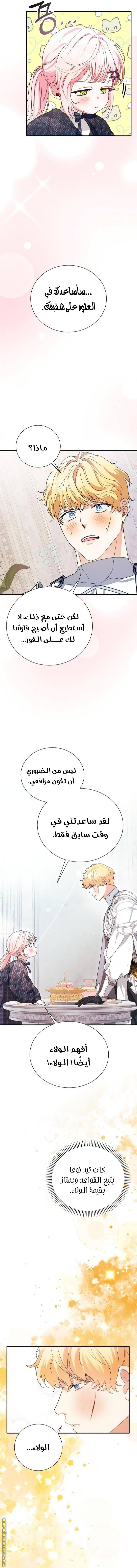 الصفحة 15