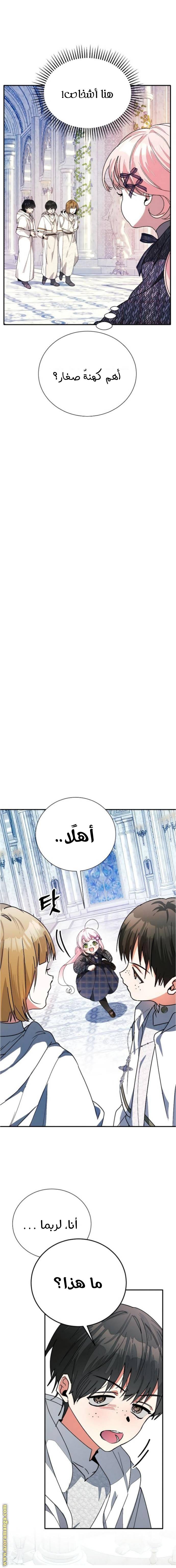 الصفحة 11