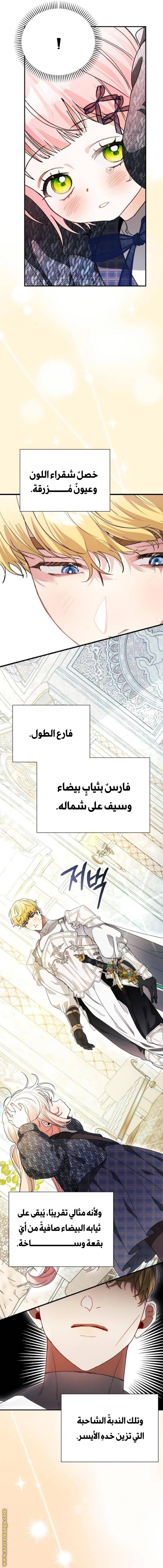 الصفحة 17