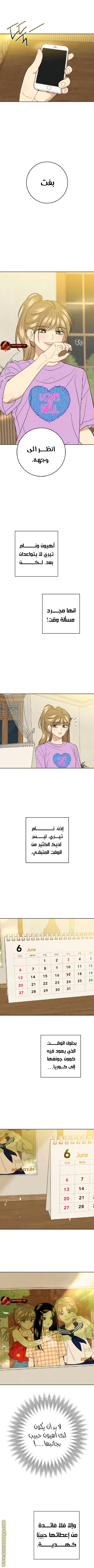 الصفحة 11