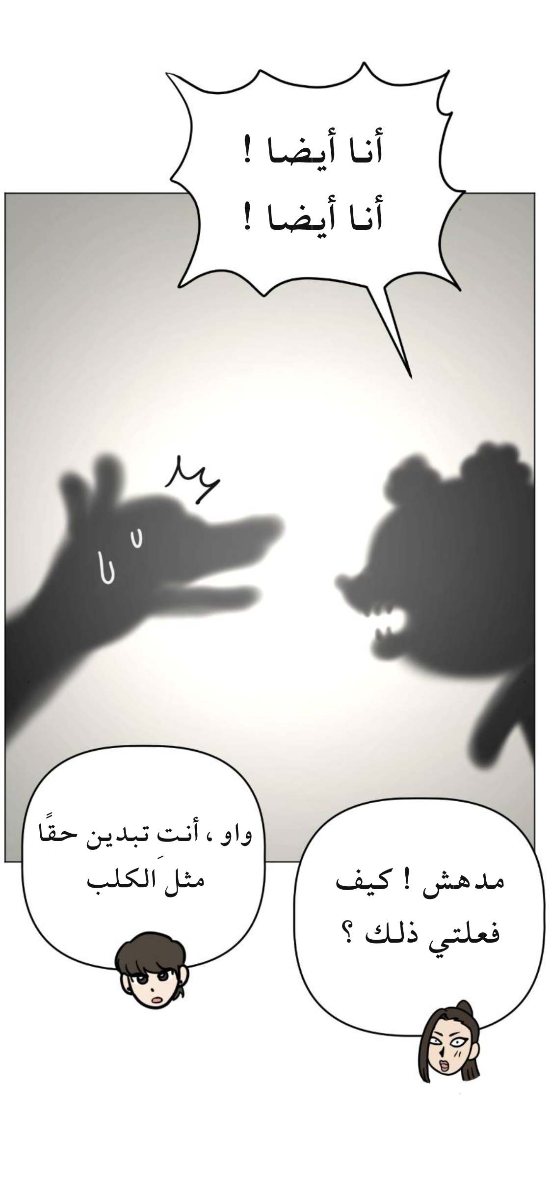 الصفحة 29