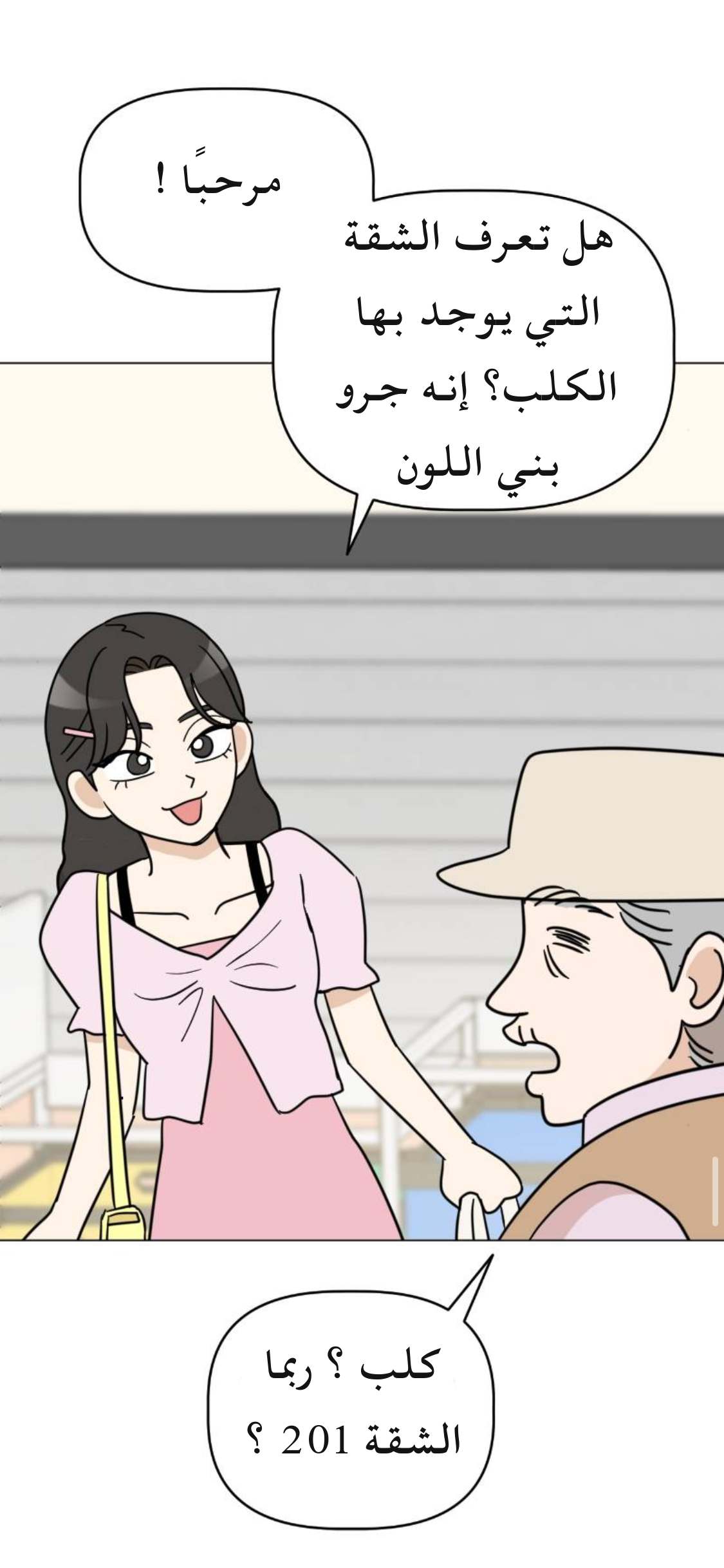 الصفحة 39