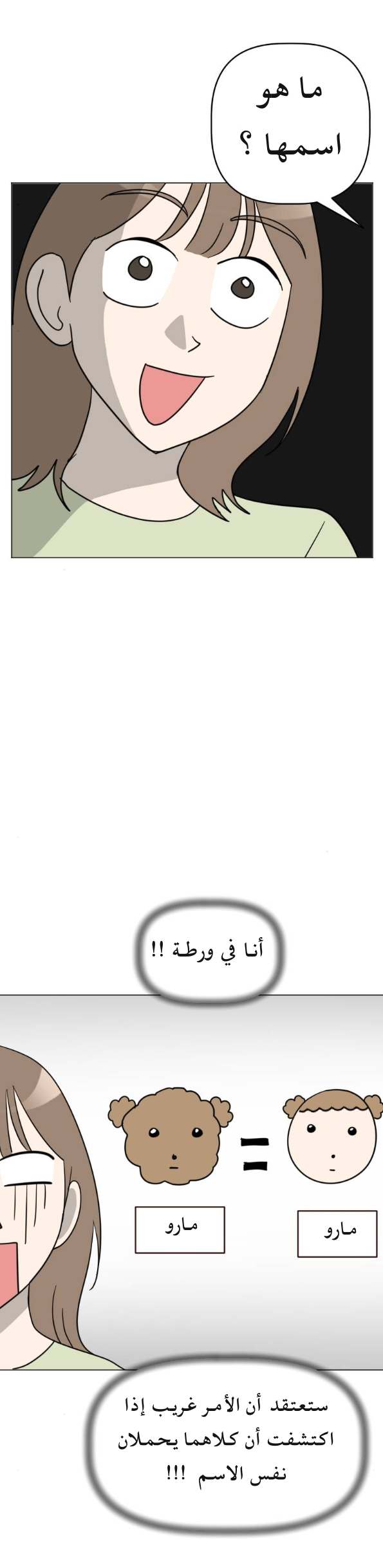 الصفحة 13
